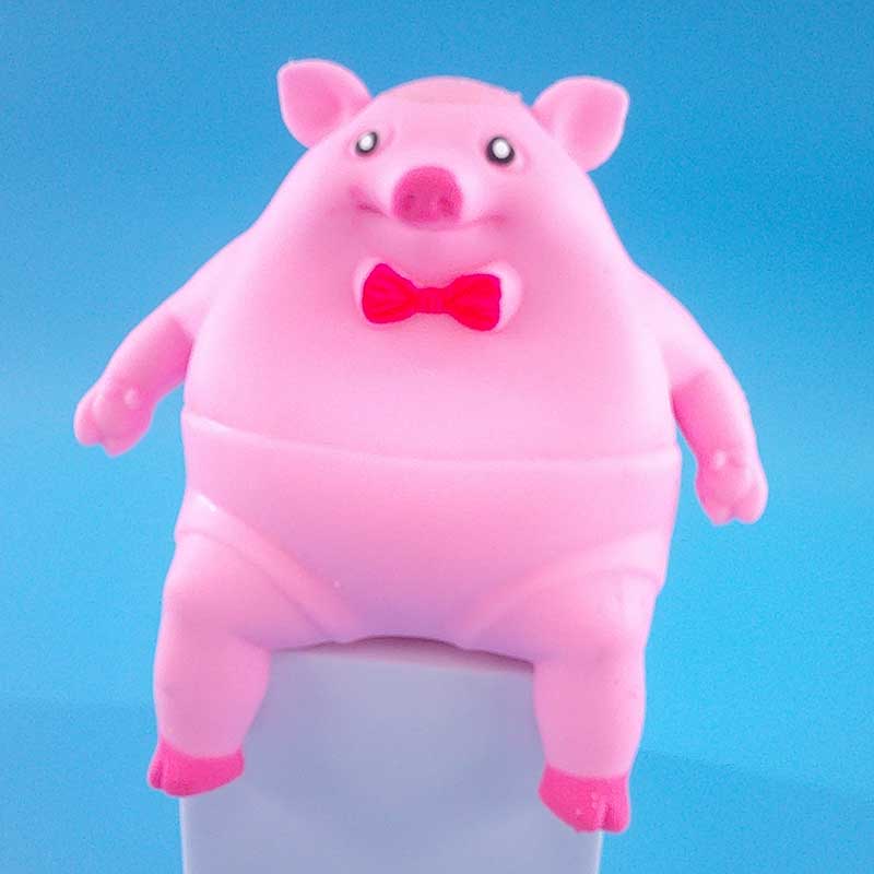 Venting Piggy Toy