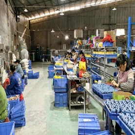 Thermoplastic elastomer watchband